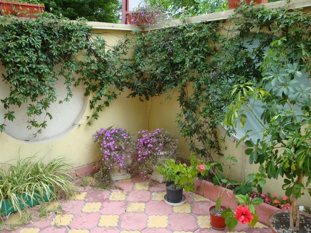 Stela Guest House Tsarevo Ruang foto