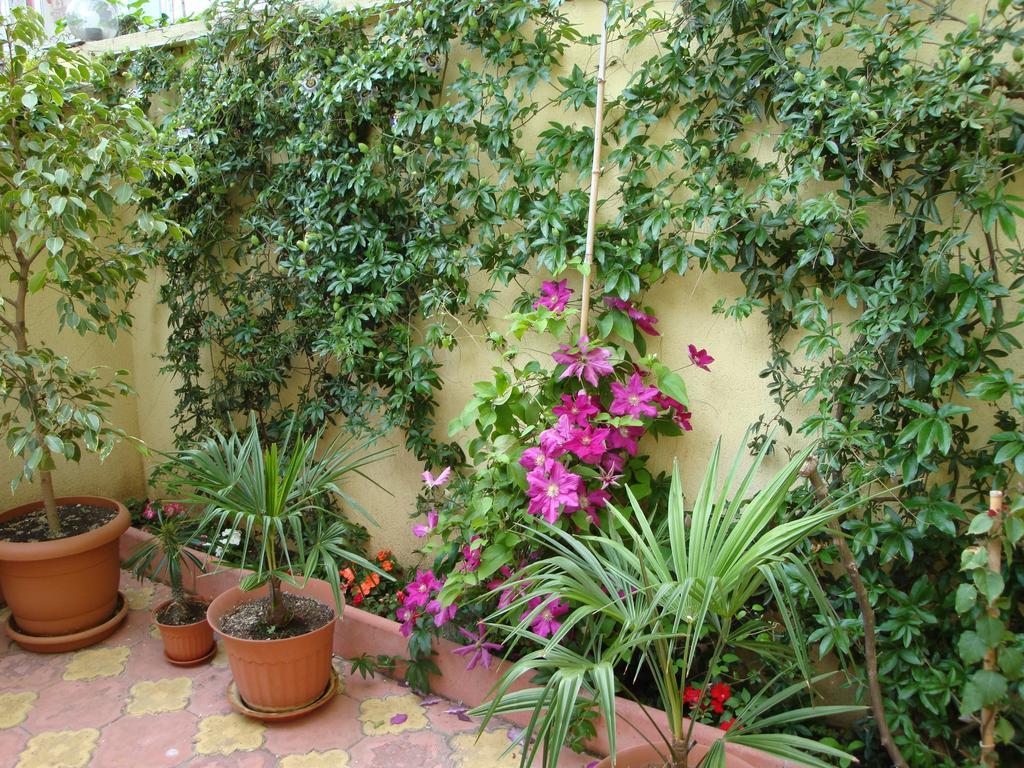 Stela Guest House Tsarevo Bagian luar foto